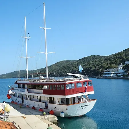 Casa de hóspedes Beachfront Veli Kamik Božava